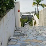 Palm Side Drymades Dhërmi
